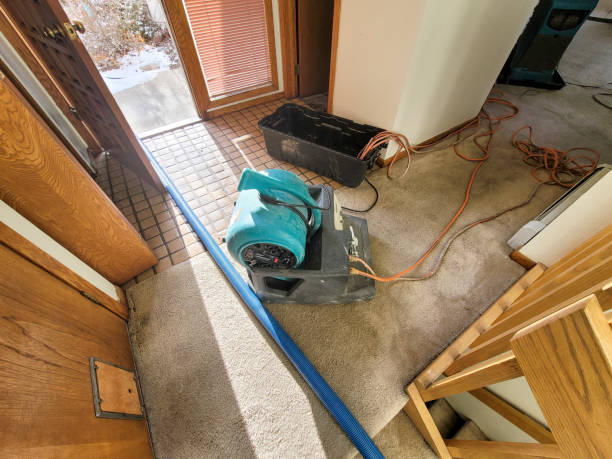 Best Residential water damage restoration  in Labarque Creek, MO